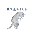 ねこと待ち合わせ（個別スタンプ：21）