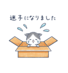 ねこと待ち合わせ（個別スタンプ：24）