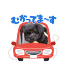 レオのキュンスパーク（個別スタンプ：3）