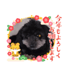 レオのキュンスパーク（個別スタンプ：7）