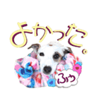 愛犬♡ハナコのスタンプ年末年始もあるよ18（個別スタンプ：24）