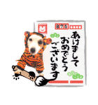 愛犬♡ハナコのスタンプ年末年始もあるよ18（個別スタンプ：36）