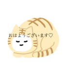 猫猫スタンプ第3弾（個別スタンプ：1）