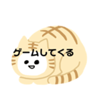 猫猫スタンプ第3弾（個別スタンプ：5）