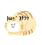 猫猫スタンプ第3弾（個別スタンプ：9）