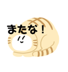 猫猫スタンプ第3弾（個別スタンプ：19）