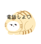 猫猫スタンプ第3弾（個別スタンプ：23）