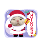 とらひなまえすたんぷ年末年始（個別スタンプ：1）