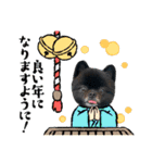 とらひなまえすたんぷ年末年始（個別スタンプ：4）