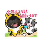 とらひなまえすたんぷ年末年始（個別スタンプ：6）
