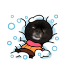 とらひなまえすたんぷ年末年始（個別スタンプ：8）