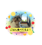 ぼこと（個別スタンプ：1）