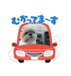 ぼこと（個別スタンプ：2）