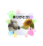 ぼこと（個別スタンプ：5）