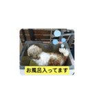 ぼこと（個別スタンプ：6）