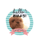 ぼこと（個別スタンプ：7）