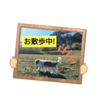 ぼこと（個別スタンプ：8）
