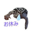 うちのレオパ (マックスノー)（個別スタンプ：2）