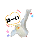 オルちゃんPart2（個別スタンプ：11）