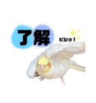 オルちゃんPart2（個別スタンプ：13）