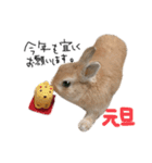 うさぎのてのまる。4「あけおめ冬Ver.」（個別スタンプ：2）