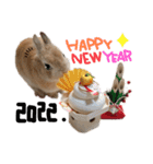 うさぎのてのまる。4「あけおめ冬Ver.」（個別スタンプ：3）