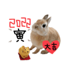 うさぎのてのまる。4「あけおめ冬Ver.」（個別スタンプ：6）