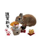 うさぎのてのまる。4「あけおめ冬Ver.」（個別スタンプ：7）