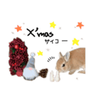 うさぎのてのまる。4「あけおめ冬Ver.」（個別スタンプ：14）