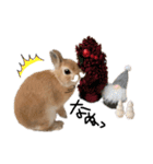 うさぎのてのまる。4「あけおめ冬Ver.」（個別スタンプ：16）