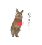 うさぎのてのまる。4「あけおめ冬Ver.」（個別スタンプ：26）
