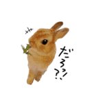 うさぎのてのまる。4「あけおめ冬Ver.」（個別スタンプ：28）