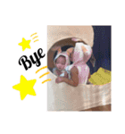 恭源2021（個別スタンプ：23）
