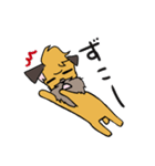 ぼくブリュッセルグリフォン！（個別スタンプ：6）