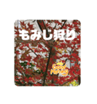 パクの海と紅葉（個別スタンプ：13）