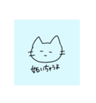 水色背景のねこ（個別スタンプ：4）