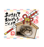 ハッピー＆ラッキースタンプ(=^ェ^=) ③（個別スタンプ：18）