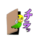 使える！可愛い黄緑セキセイインコ（個別スタンプ：13）