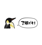 【省スペース】しゃべるペンギン（個別スタンプ：4）