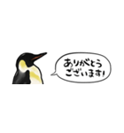 【省スペース】しゃべるペンギン（個別スタンプ：8）