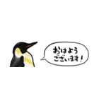 【省スペース】しゃべるペンギン（個別スタンプ：10）