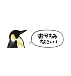 【省スペース】しゃべるペンギン（個別スタンプ：12）