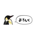 【省スペース】しゃべるペンギン（個別スタンプ：17）