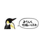 【省スペース】しゃべるペンギン（個別スタンプ：18）