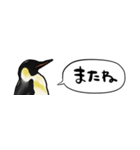 【省スペース】しゃべるペンギン（個別スタンプ：39）