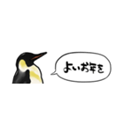 【省スペース】しゃべるペンギン（個別スタンプ：40）