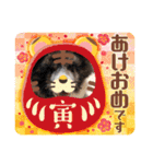 りゅうの年末年始スタンプ（秋田犬）3（個別スタンプ：20）