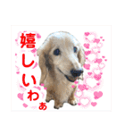 そらは19歳！（個別スタンプ：2）