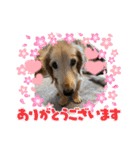 そらは19歳！（個別スタンプ：3）
