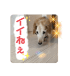 そらは19歳！（個別スタンプ：4）